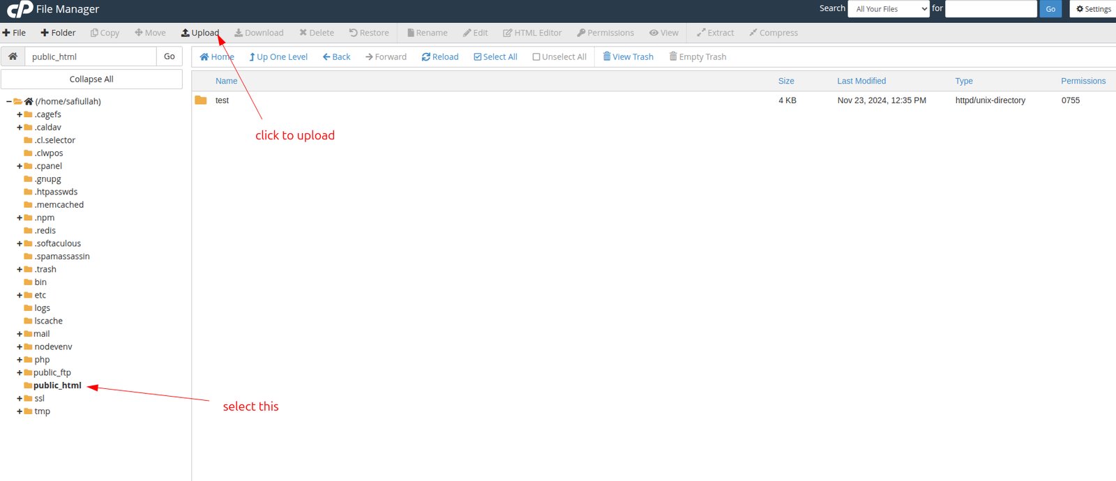 File Manager: select public_html and click Upload.